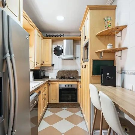Pineapple Ollerias 27 Duplex With Great Terrace And Parking * Malaga
